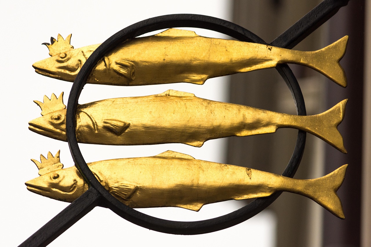 Understanding National and Organisational Culture and why it’s crucial for Effective Leadership